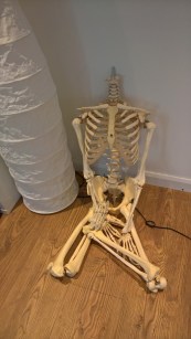 WP_20170421_13_54_49_Pro